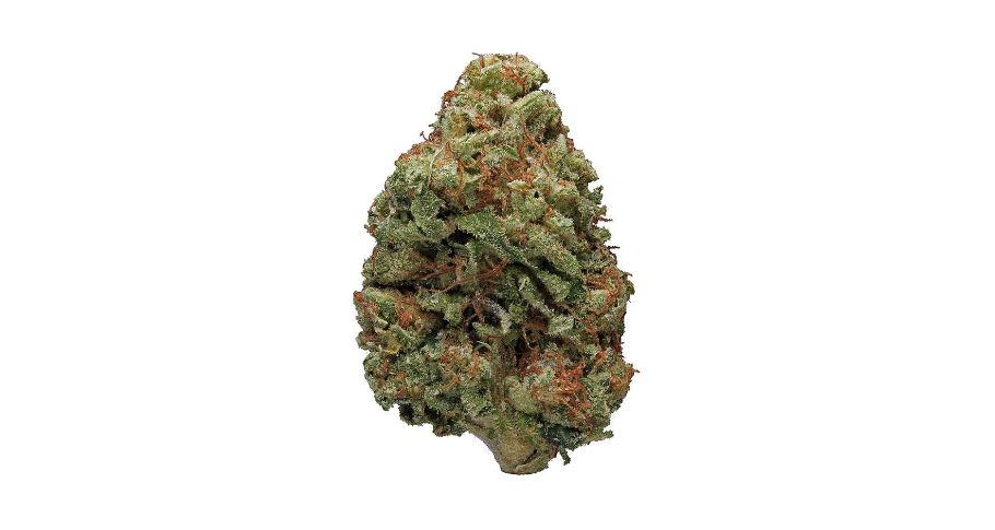 The Bruce Banner weed has a set of unique terpenes that contribute to its unique aroma, flavour, and effects. 