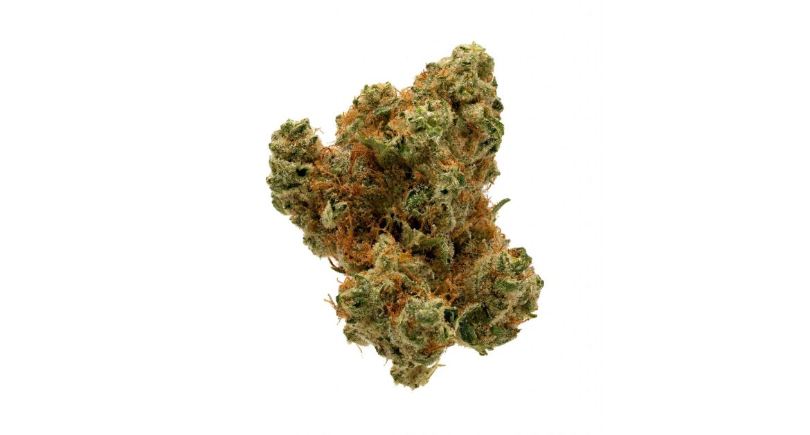 Buy-Indica-Online