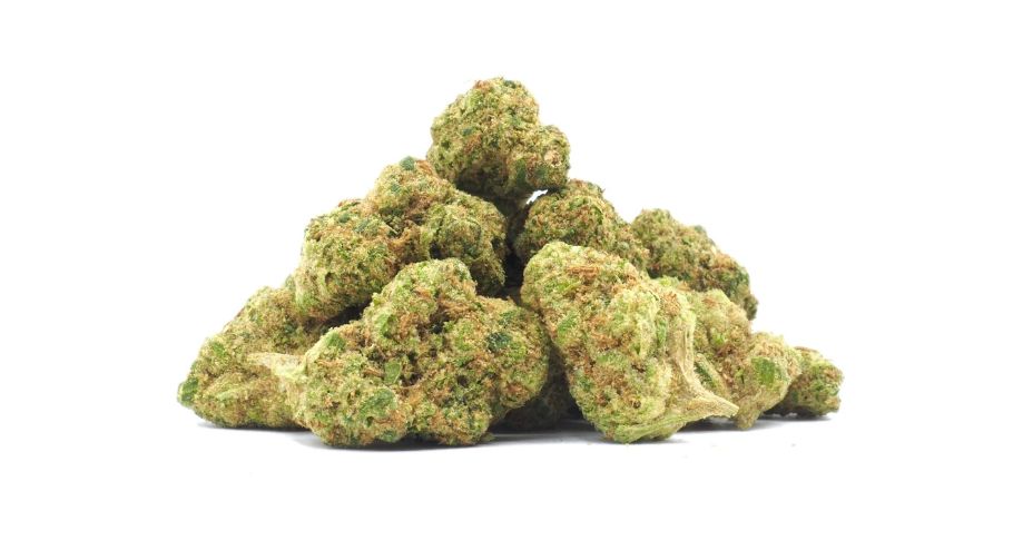 The Unicorn Poop strain is one of the few cultivars you can add to your cannabis collection and enjoy the actual value for your money. 