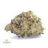 DURBAN-POISON-AAA1-2