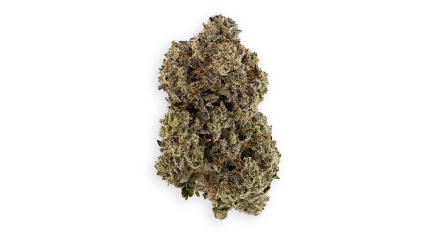 The Donkey Butter strain has a staggering 27% THC, which makes it one of the most potent Indica strains in our cannabis collection. 