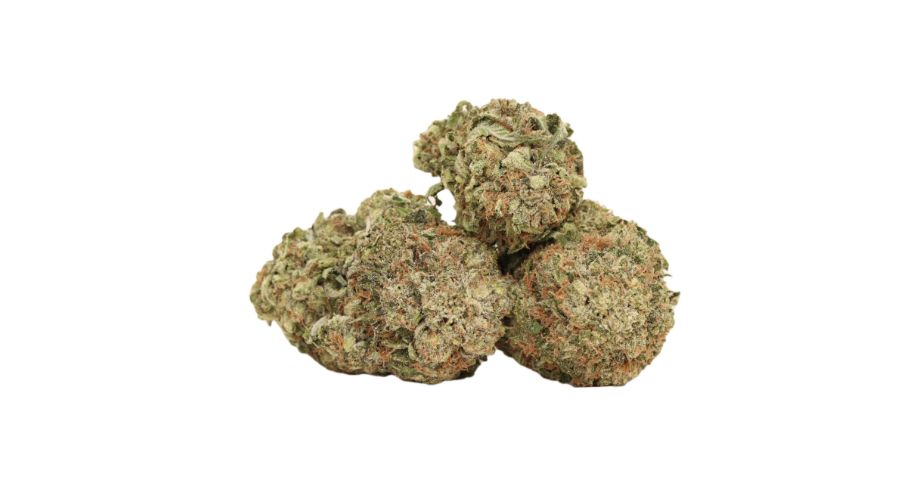 Our online dispensary in Canada is well-known for offering premium strains like El Chapo weed at the lowest price possible.