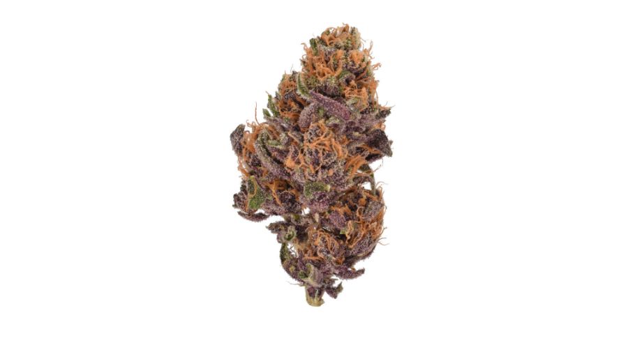 Fruity Pebbles strain is a potent weed with a THC content ranging between 19 and 22 percent.