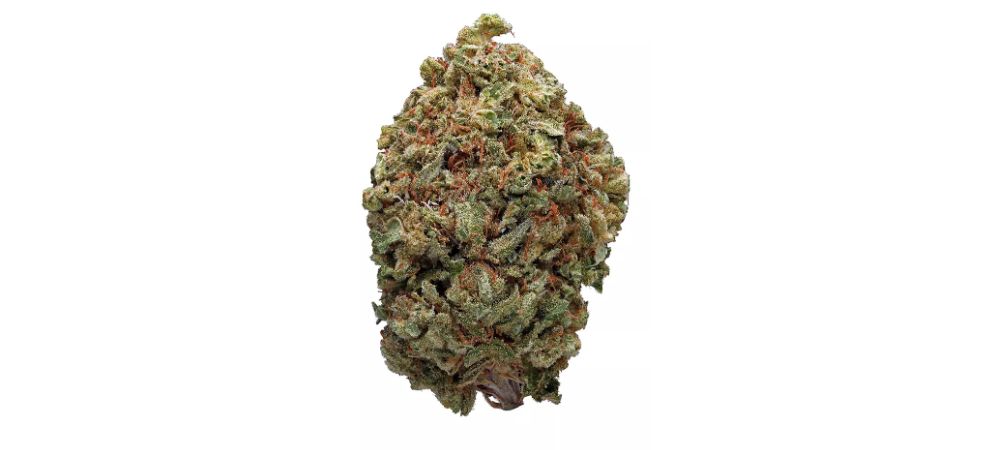 Fruity Pebbles or Fruity Pebbles OG, or FPOG, is the brainchild of Alien Genetics, a well-known California-based breeder.