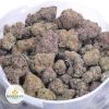 GRANDDADDY-PURPLE-AAA-2