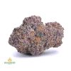 GRANDDADDY-PURPLE-AAA1-2