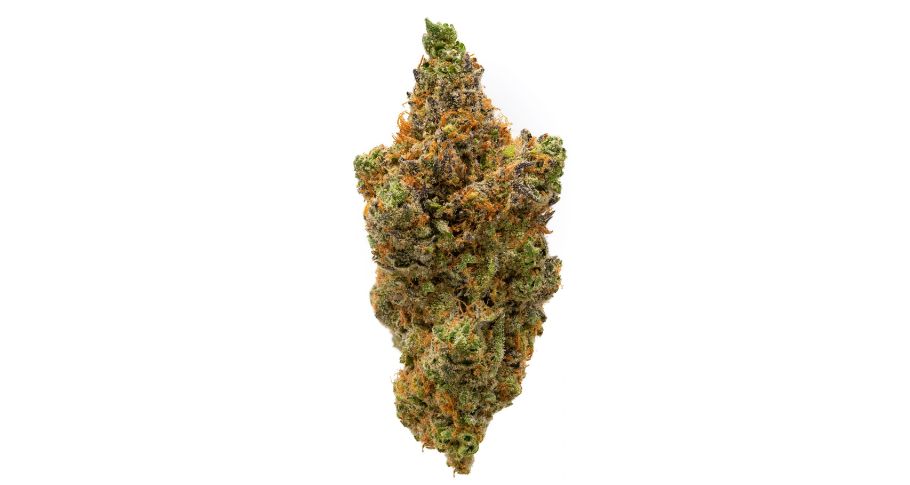 A quality, well-cured Grape Ape flower bought from our online dispensary emits a sweet, fruity smell reminiscent of ripe grapes.