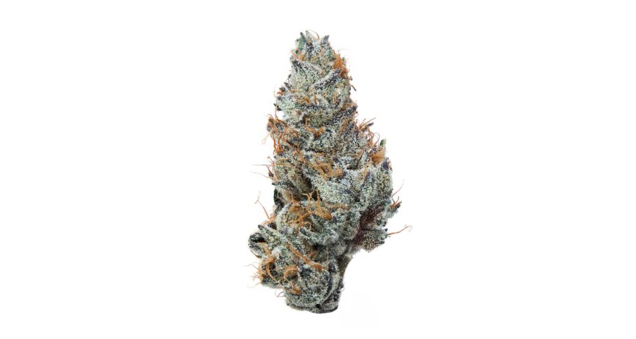 Grape Ape is one of the most beautiful strains you’ll come across in an online weed dispensary. 