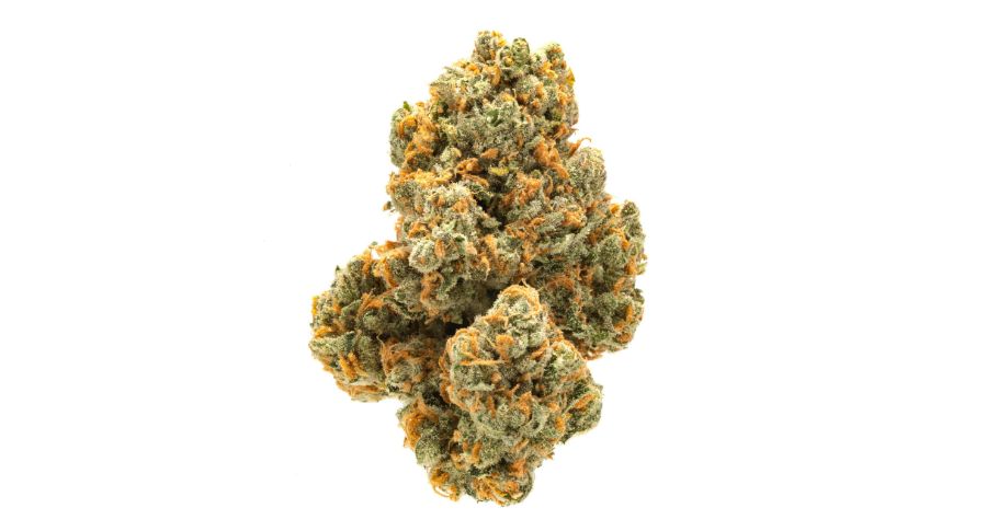 The Green Crack strain is rich in terpenes, and its complete profile includes Myrcene, Caryophyllene, Pinene, Ocimene, Linalool, Terpinolene, Sabinene, Citral, Fenchol, and more.