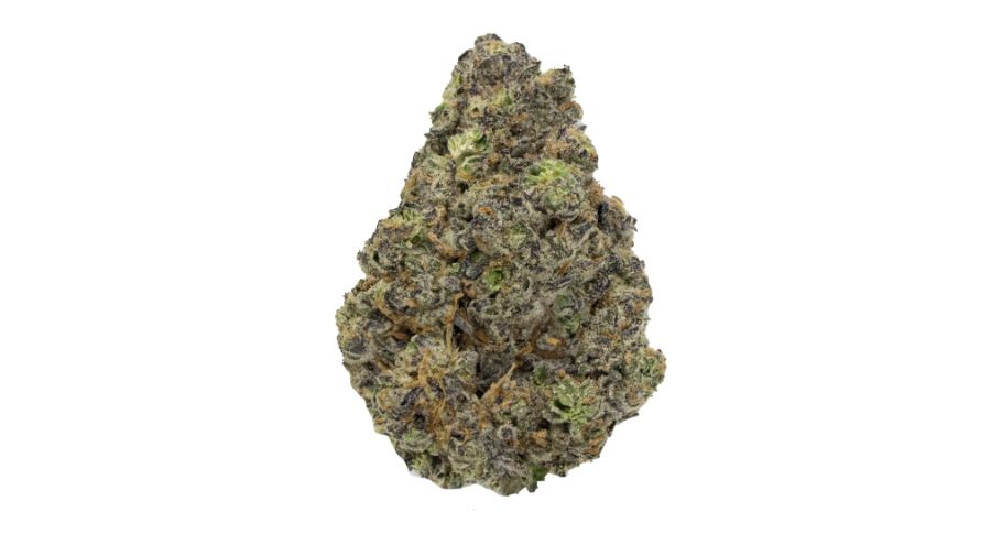 Based on the latest Green Crack strain info, you're looking at a 60 percent Sativa hybrid. This means that the Green Crack weed strain leans on the Sativa side but still packs a solid dose of Indica genetics, 40 percent to be exact.