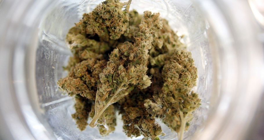 Our online weed dispensary is famous for bundle deals, so keep your eyes peeled out for bulk buy and mix-and-match options. These deals help you stock up on quality weed for less money.