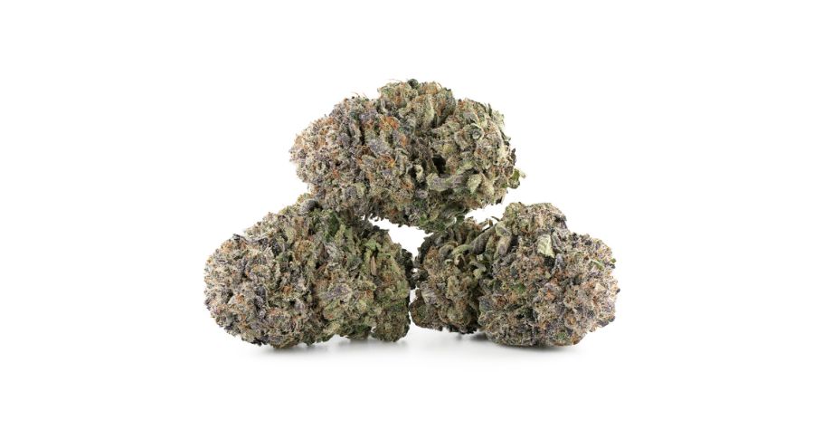 It’s a cross between the Purple Afghani landrace and the Hindu Kush. Its THC content is approximately 22%, which makes it one of the high-THC strains. 