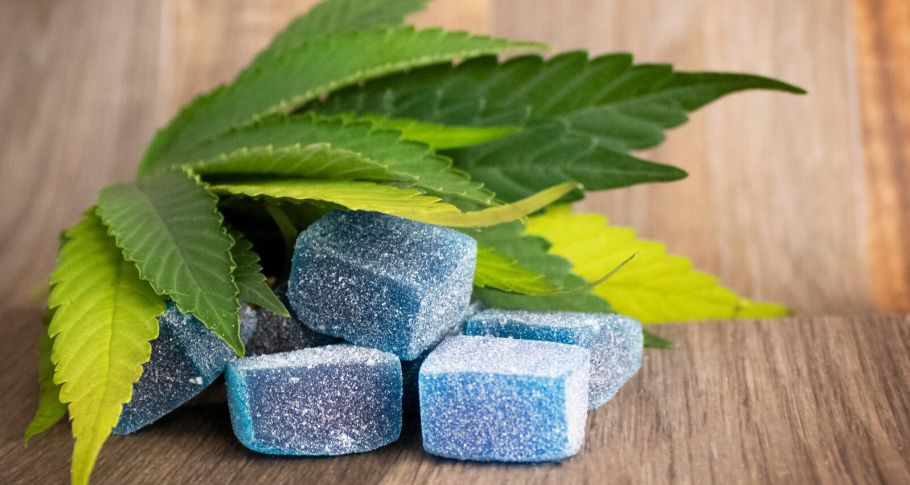 If you’re looking to remain productive throughout the day or engage in active activities such as hiking or hanging out with friends, you should consider buying sativa gummies in Canada.