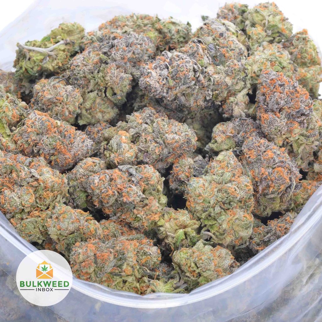 TROPICANA-COOKIES-AAA-2