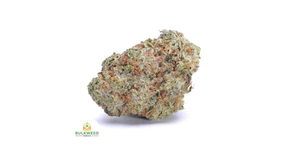 The Toad is a unique indica bud known for its distinct, one-of-a-kind aroma and taste. A 70% indica strain, the Toad has a pungent, earthy diesel aroma with hints of lemony, spicy citrus.