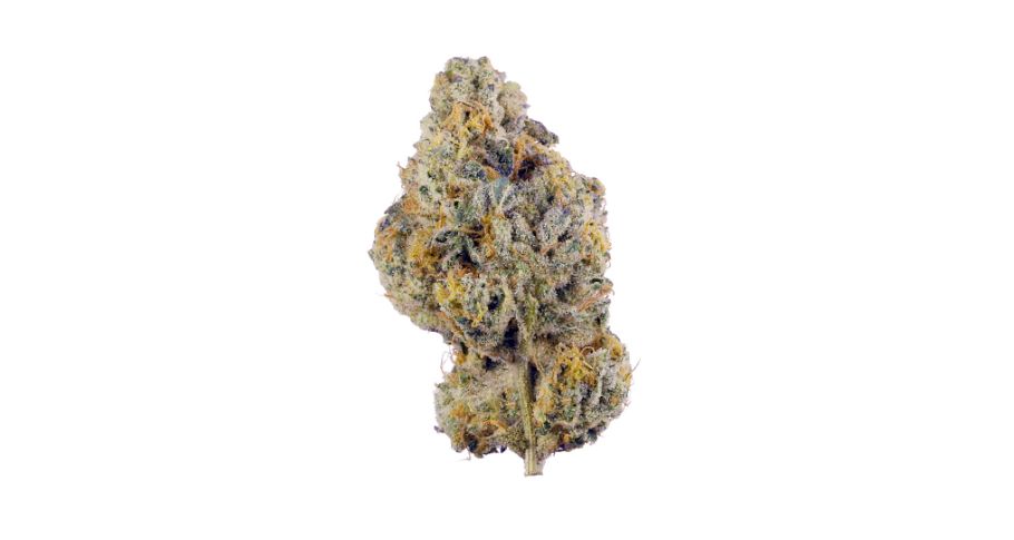 The Wedding Cake strain is a glorious thing: its aroma is fresh, inviting, and completely unmistakable. 