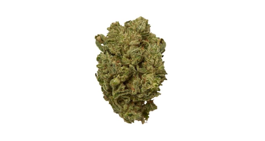 If you're a fan of indica-leaning bud, you should order Wedding Cake weed from our online dispensary in Canada. 