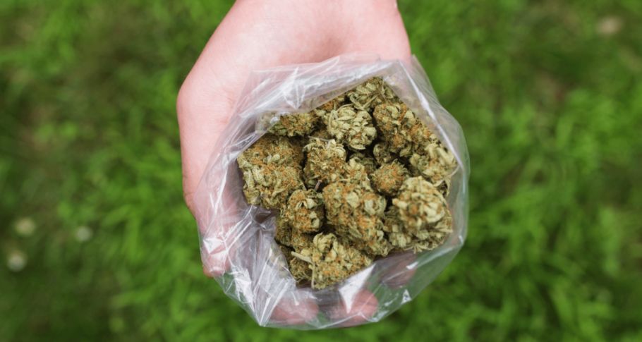 A pound of weed is a huge amount of weed that you should only buy if you’ve got a clear plan on how to use it. 