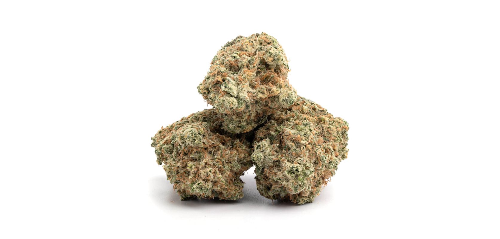 Welcome to Bulk Weed Inbox, the premier online dispensary in Canada. We’re a mail order cannabis store that provides weed enthusiasts all around the world with access to the highest-quality weed money can buy. 