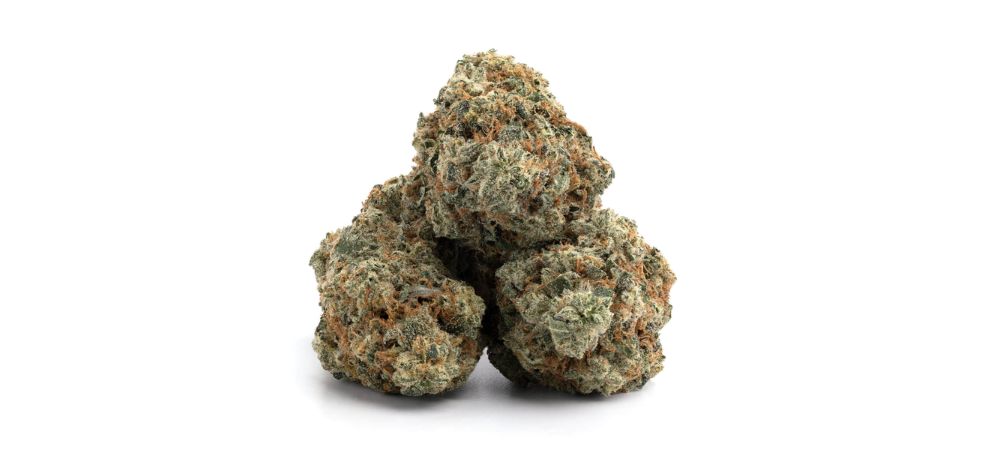 If you haven't tried the Sour Diesel strain, you're missing out on something magical. However, the first step is to find a reliable online dispensary in Canada that offers high-quality weed. 