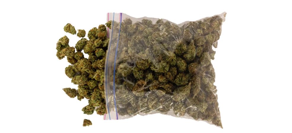 If you’ve never bought a pound of bud before, we get it. It seems like a lot of weed, and it is. 