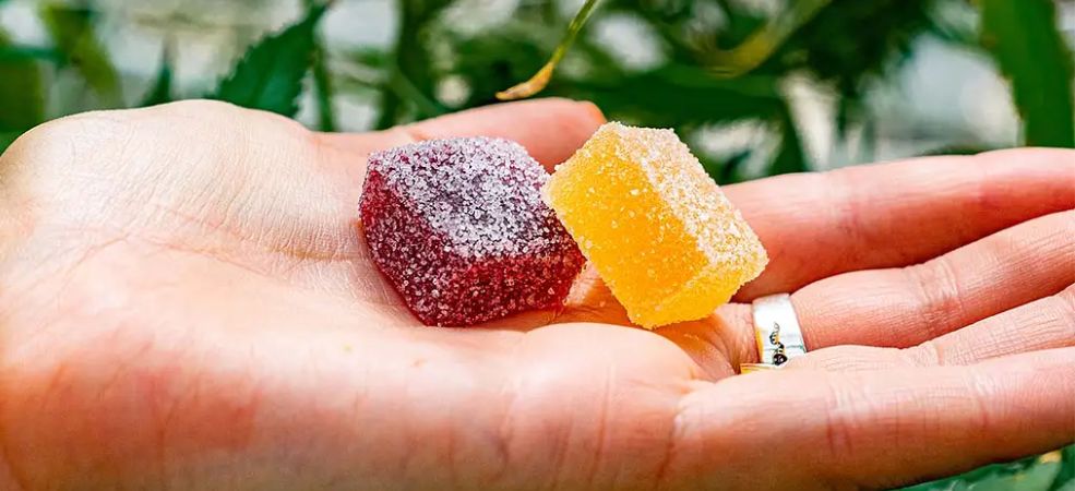 Edibles refer to food items that have been infused with cannabinoids, such as THC, the main psychoactive compound in marijuana. 