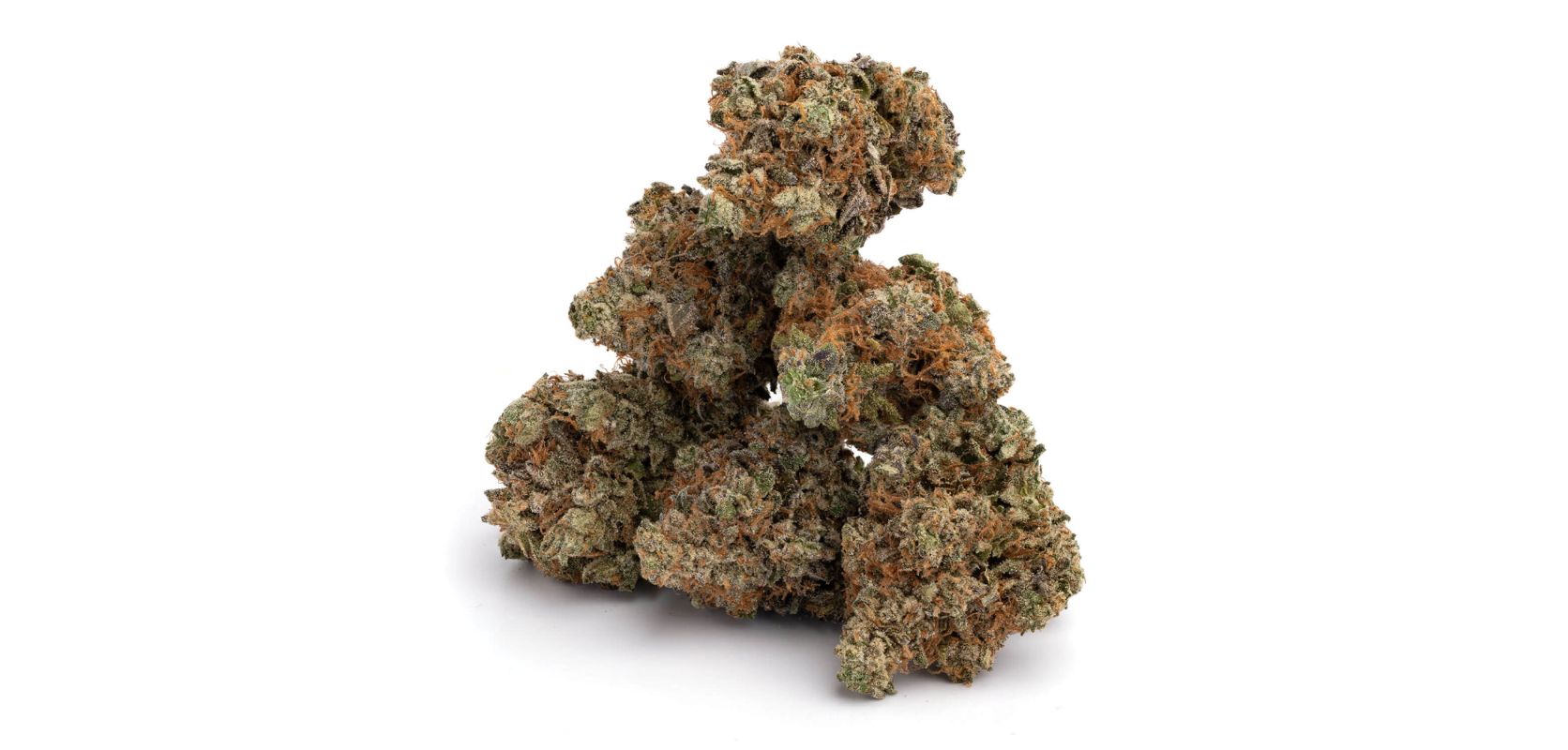 Ghost Train Haze is the perfect choice for you. You can order this strain from our online dispensary today and have it delivered to your door.