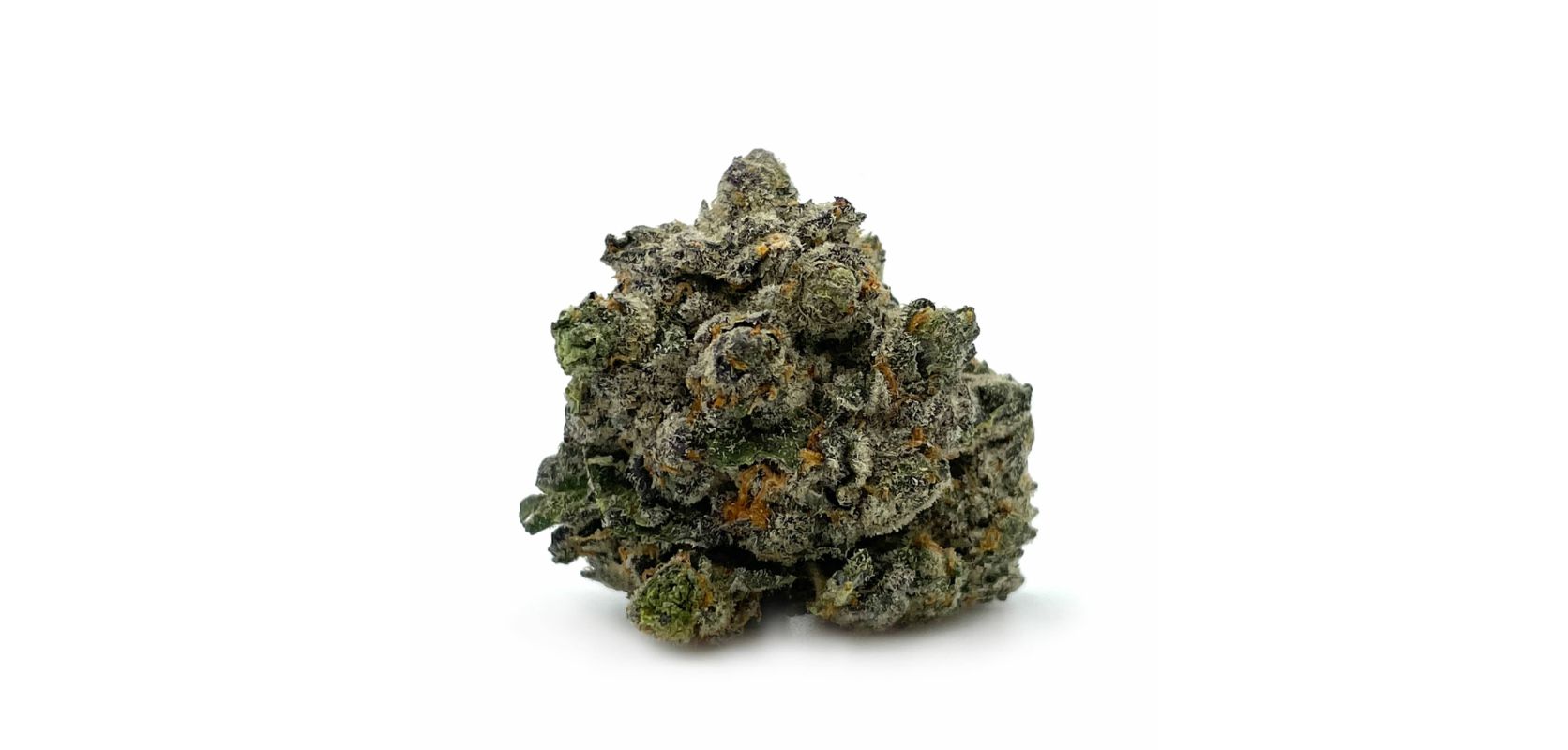 When you buy weed online in Canada, you could order an ounce or more of this flower and have our dispensary deliver it to you. 