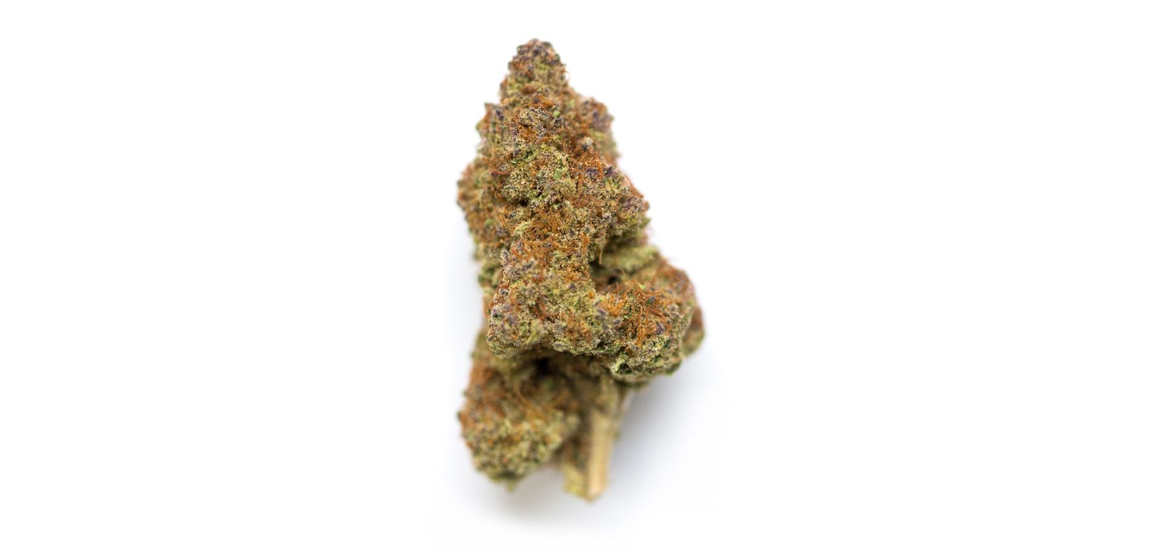 Ghost Train Haze weed was created by crossing Ghost OG and Neville’s Wreck, two potent flowers that are iconic in their own right. 