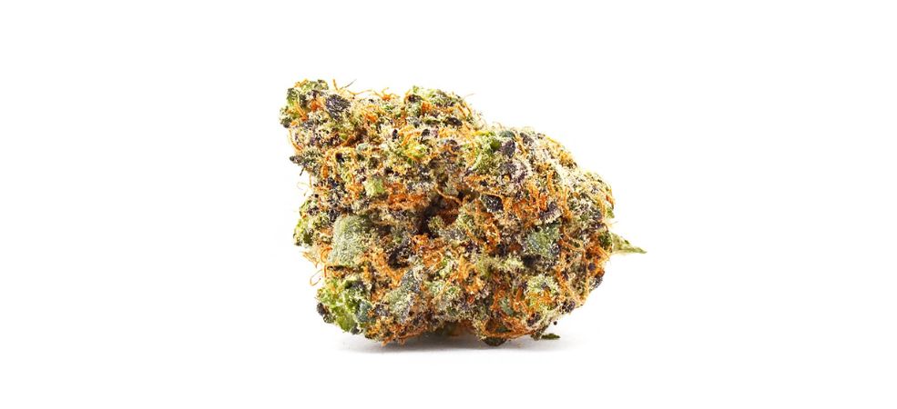 Looking at Gorilla Glue strain genetics, you will understand why it's still one of the most popular strains at our online cannabis store today.