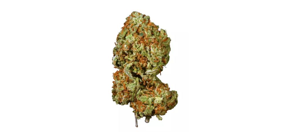 The Gorilla Glue strain is one of the best cannabis buds you can buy online in Canada today. This strain has all it takes, from its gorgeous appearance, complex aroma, flavour, and highly relaxing effects.