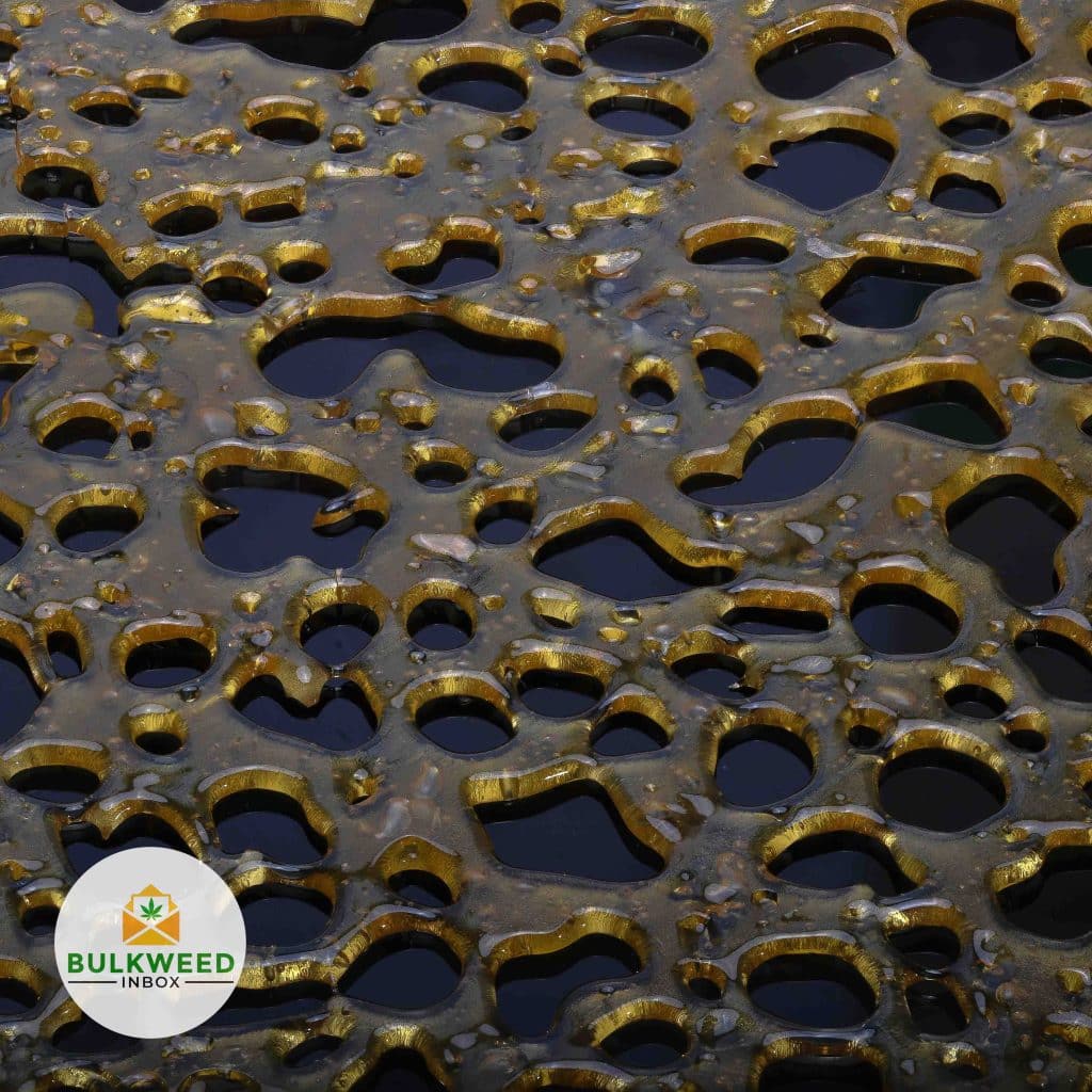 LIT-EXTRACTS-EL-CHAPO-SHATTER