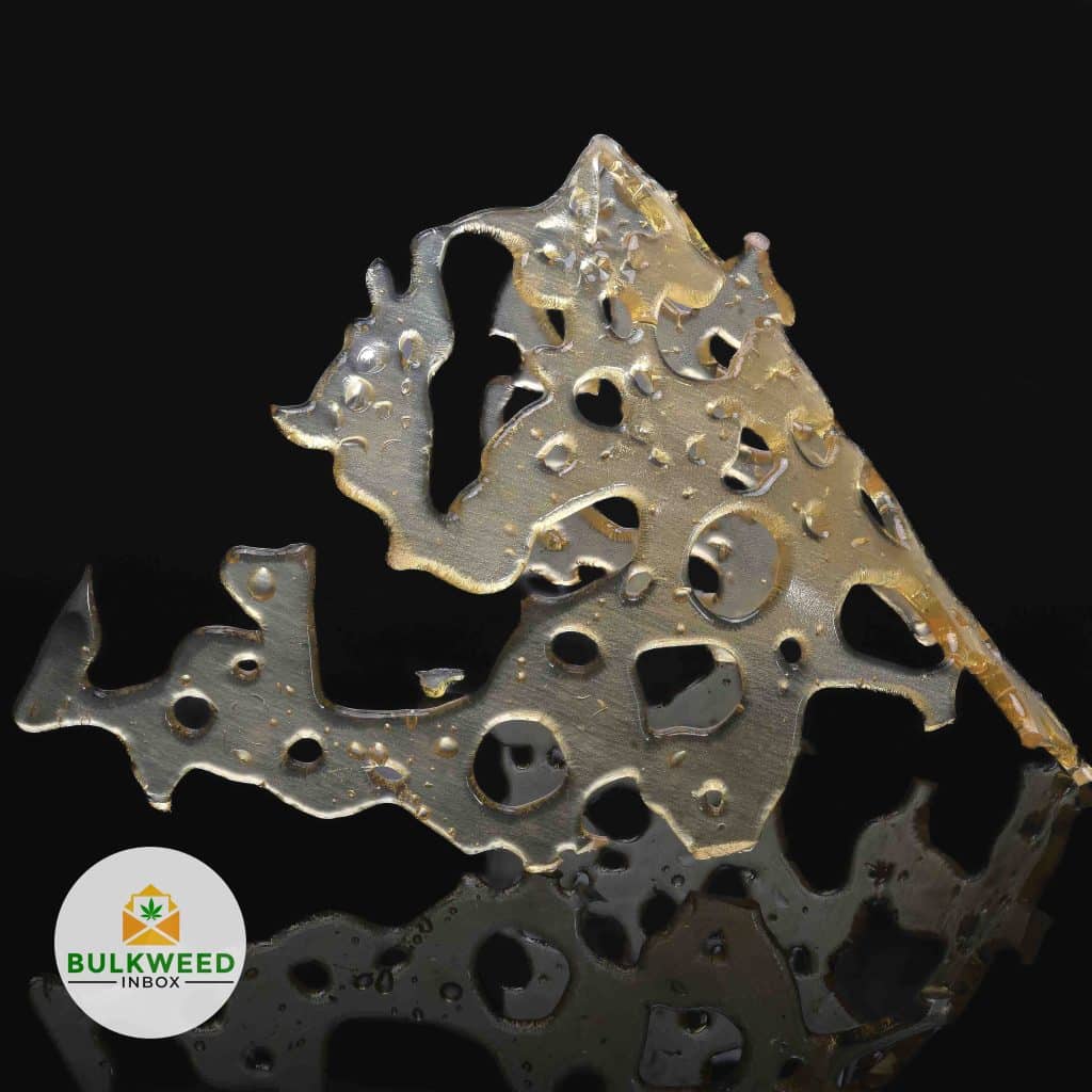 LIT-EXTRACTS-WHITE-SHARK-SHATTER1-2-2