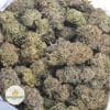 MENDO-BREATH-3