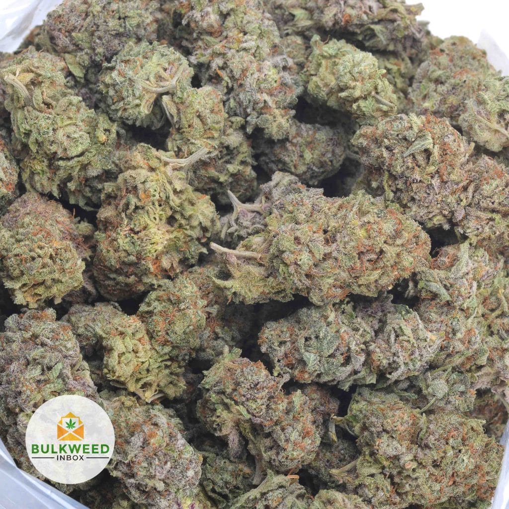 MENDO-BREATH-3