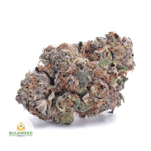 MENDOCINO-PURPS-AAA1-2