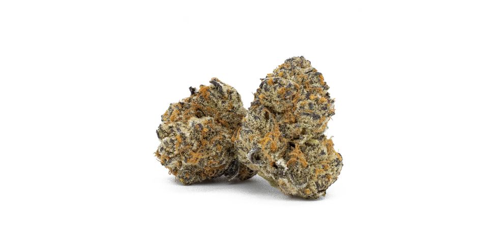 Mendo Breath boasts THC levels ranging from 18% to 20%, making it a moderately to highly potent strain.