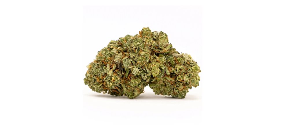 The Mendo Breath weed strain has a strong, sweet smell with top notes like caramel and vanilla and an earthy hint running throughout.