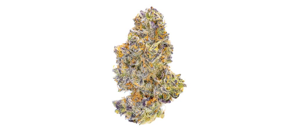 We’d like to start by pointing out that the Mendo breath is a super rare strain, and as we all know, “real is rare.”