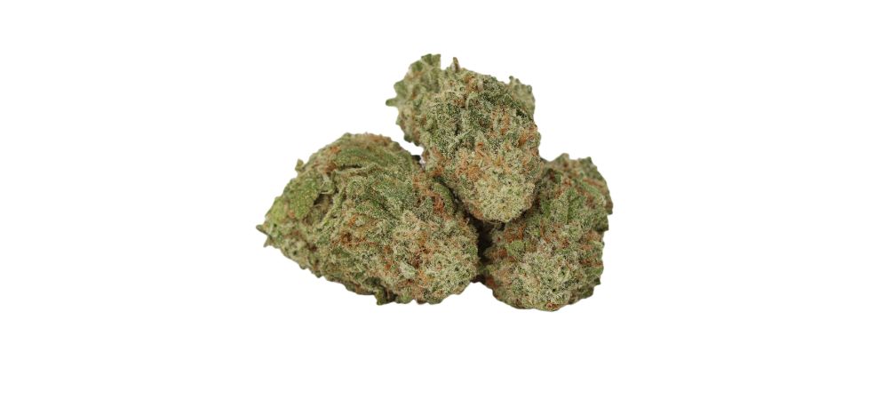 It has large and fluffy buds, as is typical of sativa-dominant hybrids. The nugs are cone-shaped and olive green with purple hues.