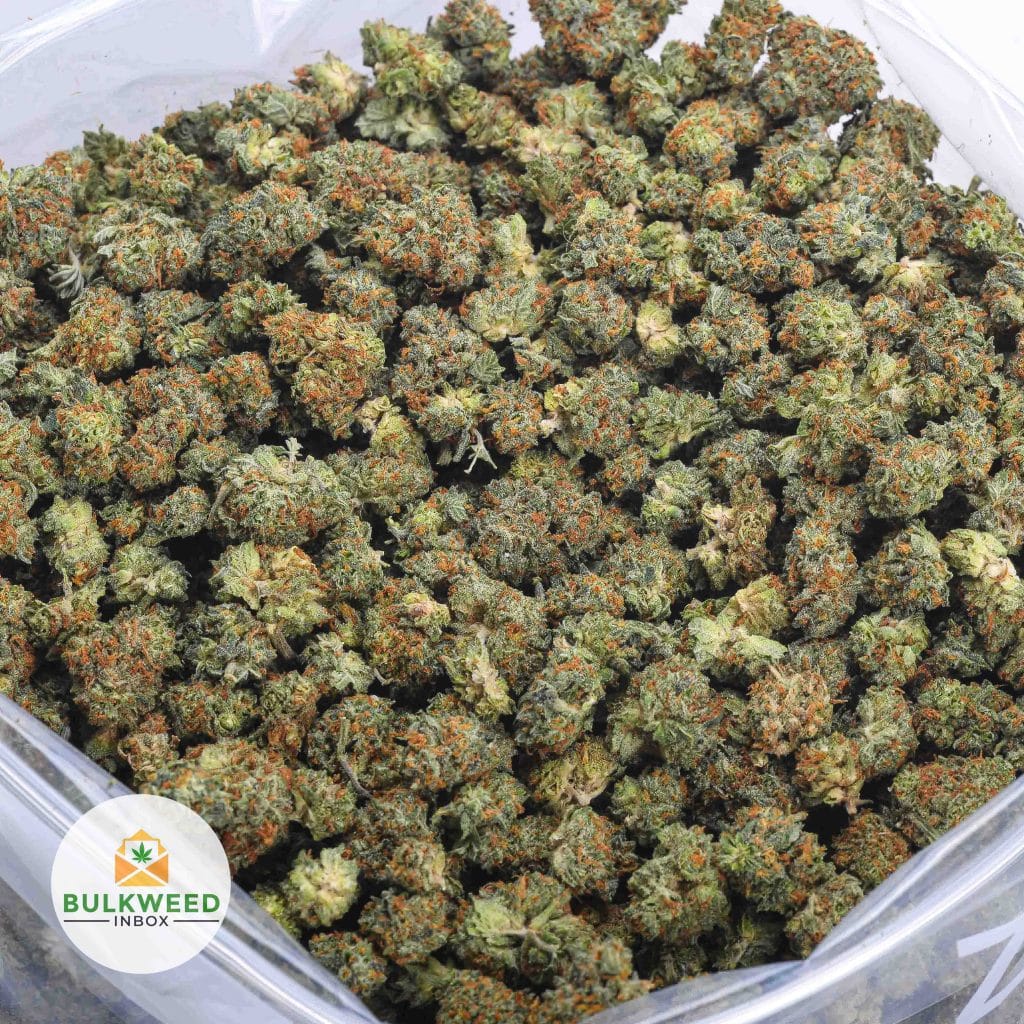 SAGE-AND-SOUR-POPCORN1-2