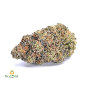 STARDAWG-AAAA1-2