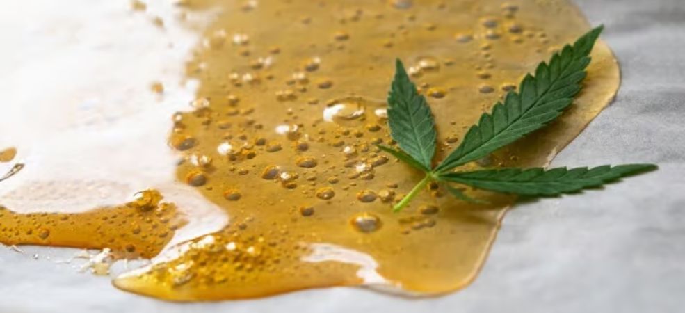 There are tens of cannabis concentrates to consider when you buy weed online in Canada today. Many are pretty similar in what they offer, while some, such as weed shatter, are especially unique.