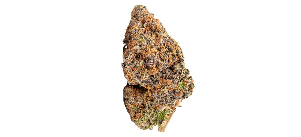 Whether the Mendo Breath is indica or sativa is one of the most crucial Mendo Breath info you don’t want to miss as you order weed online.