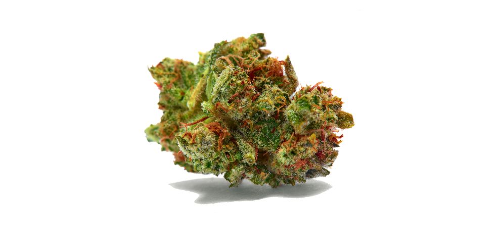 Sour D, also known as Sour Diesel, is an almost pure Sativa strain with a genetic split of 90% Sativa and 10% Indica.  