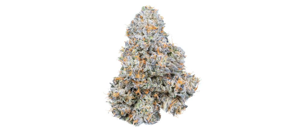 Buy weed online in Canada from us to get your hands on this striking and visually appealing Permanent Marker strain. 