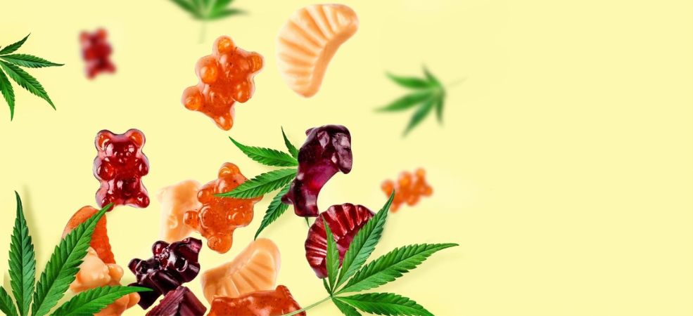 Gummies are some of the most popular cannabis products at our online weed dispensary. But before we get to why THC gummies from BC stand out, let's first take a look at what a gummy is.