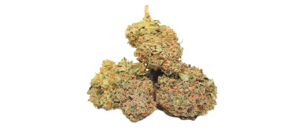 Buy Death Star weed online today and enjoy a smooth cannabis shopping experience, incredible prices and free Canada-wide shipping on all orders over $150.