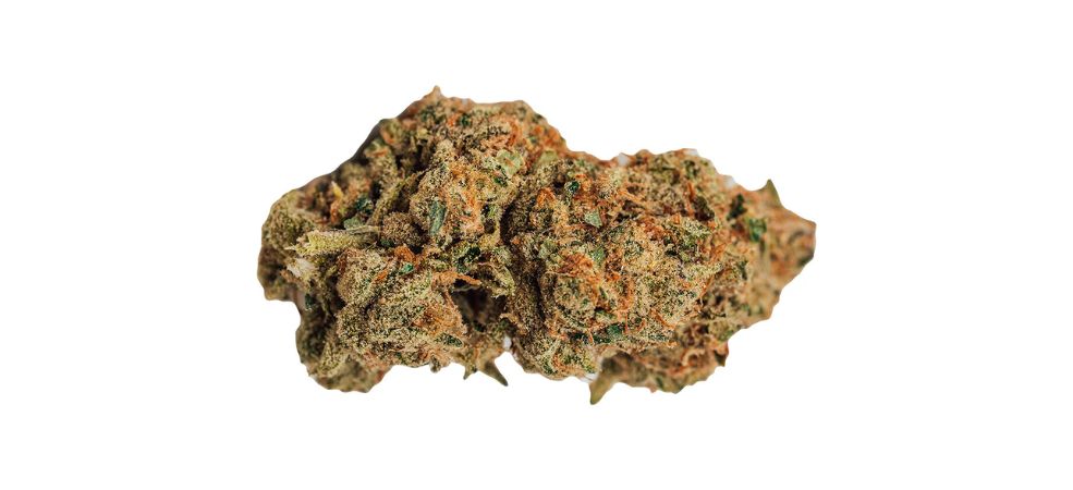 The Death Star weed strain was created through a cross between the legendary Sensi Star and the infamous Sour Diesel strain.