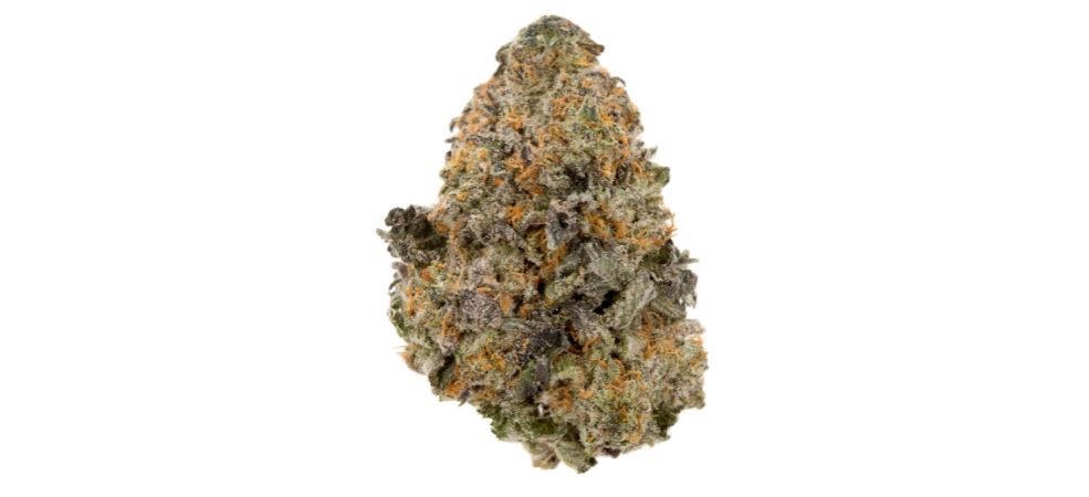 Gelato strain will have your mind soaring in bliss, but you won't be hazy or lazy. As time passes, a creeping body buzz will wash through your whole body, relaxing every joint and muscle, numbing all pains and releasing tension.